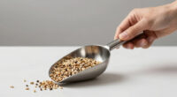 9 Best Ingredient Scoop Stainless Steel in 2026