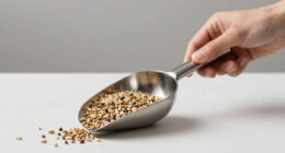 9 Best Ingredient Scoop Stainless Steel in 2026