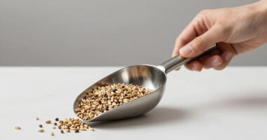 9 Best Ingredient Scoop Stainless Steel in 2026