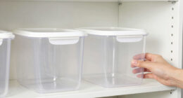 9 Best Storage Bins for Pantry Shelves in 2026