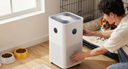 10 Best Air Purifier for Foster Pet Room in 2026