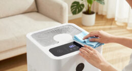 10 Best Air Purifier For Homes With Dogs And Cats In 2026