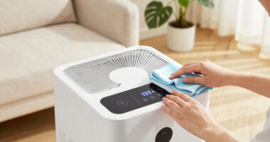 10 Best Air Purifier For Homes With Dogs And Cats In 2026