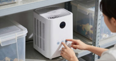 10 Best Dehumidifier for Storage Room in 2026