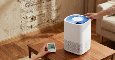 11 Best Dehumidifier For Damp House In 2026
