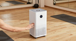 12 Best Air Purifier for Boutique Fitness Studio in 2026