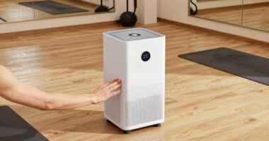 12 Best Air Purifier for Boutique Fitness Studio in 2026