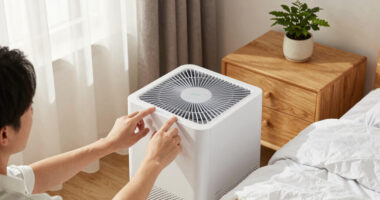 12 Best Air Purifier For Guest Room In 2026