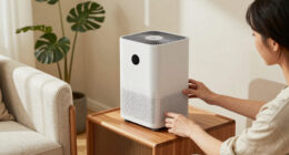 12 Best Air Purifiers for New Furniture Smell in 2026
