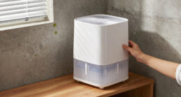 13 Best Dehumidifier for Mold Prevention in 2026