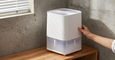 13 Best Dehumidifier for Mold Prevention in 2026