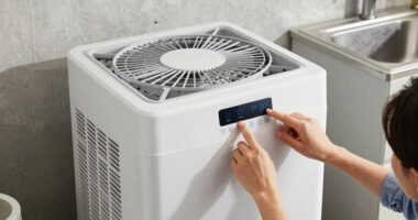 13 Best Whole House Dehumidifier in 2026