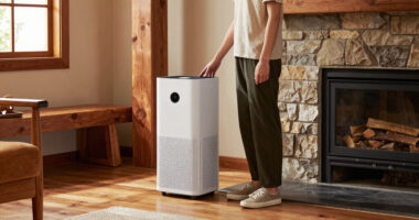 8 Best Air Purifier For Wood Heated Home In 2026
