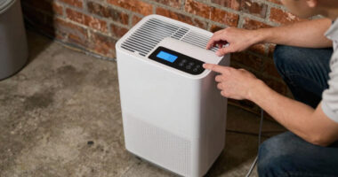 9 Best Dehumidifier for 1500 Sq Ft Basement in 2026