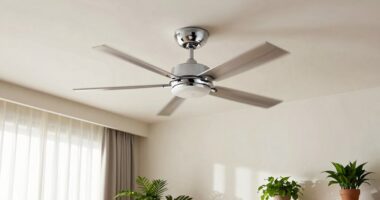 ceiling fan air circulation