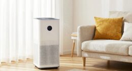 clean air purification efficiency