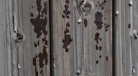 damp house moisture pattern