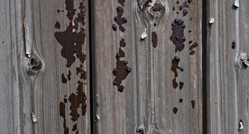 damp house moisture pattern