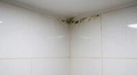 excess moisture causes mustiness
