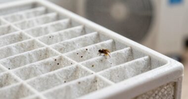 hvac impacts allergy severity