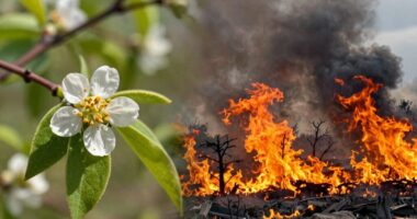 indoor focus shifts seasonally