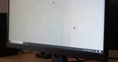 monitor dirt detection test