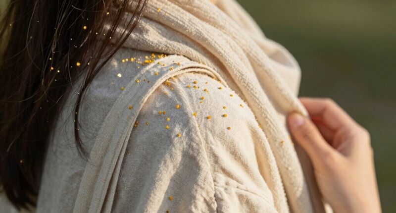 pollen transfer via personal items