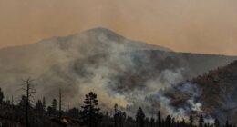 pre emptive fire filtering