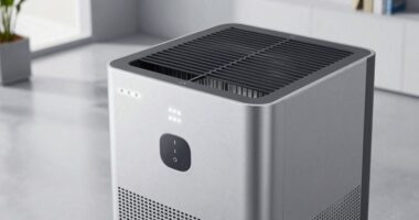 professional grade air purification
