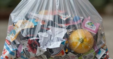 scented bags disrupt air freshness