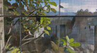 screen filters outdoor elements