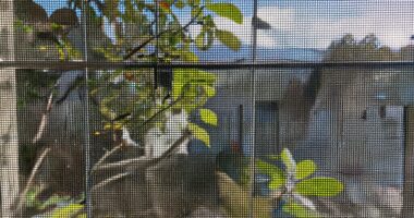 screen filters outdoor elements