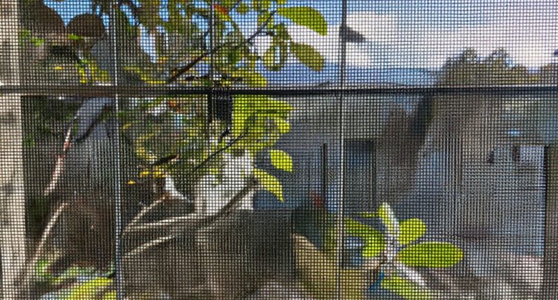 screen filters outdoor elements