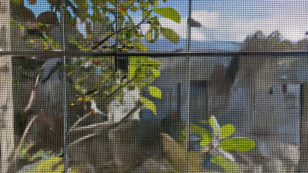 screen filters outdoor elements