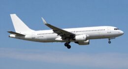 simple consistent reliable flights