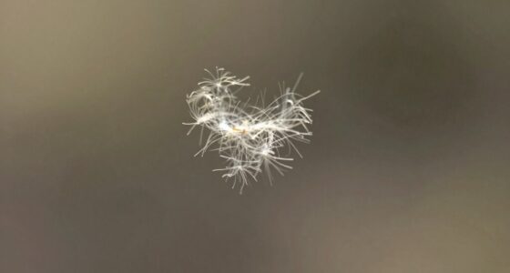 small pet dander particles