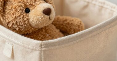 soft toys trap allergens
