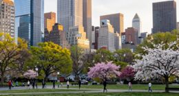 urban and suburban air quality