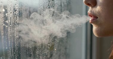 using co2 to detect ventilation
