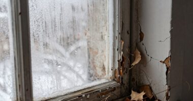 winter dryness affects entire home
