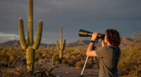 Arizona’s Organ Pipe Cactus National Monument Earns Dark Sky Status