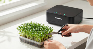 InstaFarm Automated Indoor Microgreens Garden Review: Easy Being Green