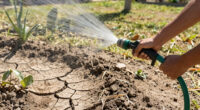 More than half of U.S. faces worst drought in decades