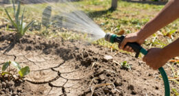 More than half of U.S. faces worst drought in decades