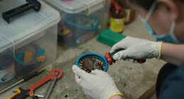 We’re asking the wrong question about the hantavirus outbreak