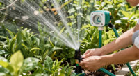 14 Best Automatic Watering Systems in 2026