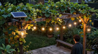 15 Best Solar-Powered Outdoor String Lights in 2026