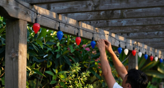 10 Best Patriotic Outdoor String Lights in 2026