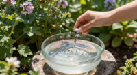 13 Best Bee Water Stations in 2026