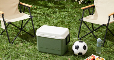 4 Best Outdoor Soccer Tailgate Gear in 2026